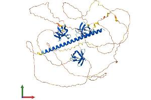 Protein Structure (PS) image for SH3-Domain Kinase Binding Protein 1 (SH3KBP1) (AA 1-709) protein (His tag) (ABIN7564716)