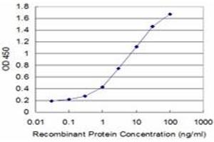 Detection limit for recombinant GST tagged ANGPTL1 is approximately 0. (ANGPTL1 antibody  (AA 24-491))