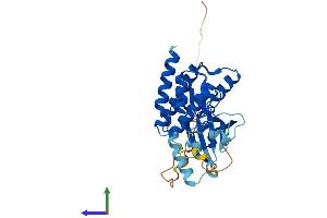 AlphaFold protein structure predicition of Human Recombinant NEK6 Protein, UniprotID Q9HC98