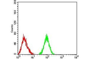 Flow cytometric analysis of HL-60 cells using CD177 mouse mAb (green) and negative control (red). (CD177 antibody  (AA 22-161))