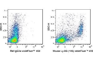 C57Bl/6 bone marrow cells were stained with 0. (Ly6g antibody  (violetFluor™ 450))