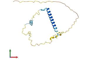 AlphaFold protein structure predicition of Mouse Recombinant Tceal1 Protein, UniprotID Q921P9