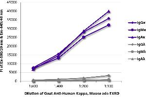 FLISA plate was coated with purified human IgGκ, IgMκ, IgAκ, IgGλ, IgMλ, and IgAλ. (Goat anti-Human Ig (Chain kappa) Antibody (Texas Red (TR)))