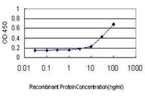Detection limit for recombinant GST tagged HHIP is approximately 1ng/ml as a capture antibody. (HHIP antibody  (AA 21-120))
