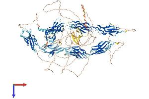 AlphaFold protein structure predicition of Mouse Recombinant Fndc3c1 Protein, UniprotID Q6DFV6 (Fndc3c1 Protein (AA 1-1356) (His tag))