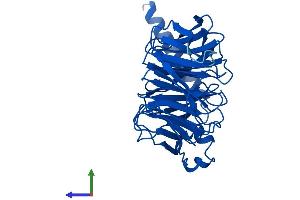 AlphaFold protein structure predicition of Human Recombinant GNB3 Protein, UniprotID P16520 (GNB3 Protein (AA 1-340) (His tag))