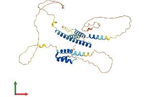 AlphaFold protein structure predicition of Mouse Recombinant Meis1 Protein, UniprotID Q60954 (MEIS1 Protein (AA 1-390) (His tag))