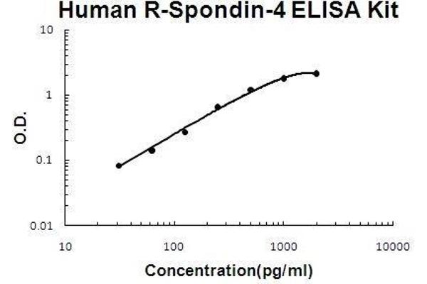 R-Spondin 4 ELISA Kit