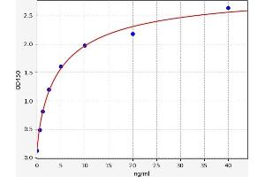 HDAC8 ELISA Kit