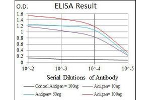 ELISA image for anti-Cyclin-Dependent Kinase 2 (CDK2) antibody (ABIN969506)