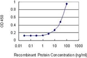 Detection limit for recombinant GST tagged DDOST is 1 ng/ml as a capture antibody. (DDOST antibody  (AA 328-427))