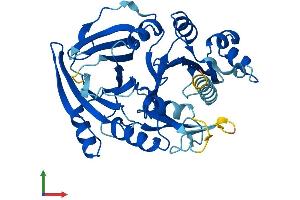 AlphaFold protein structure predicition of Human Recombinant HPDL Protein, UniprotID Q96IR7 (HPDL Protein (AA 1-371) (His tag))