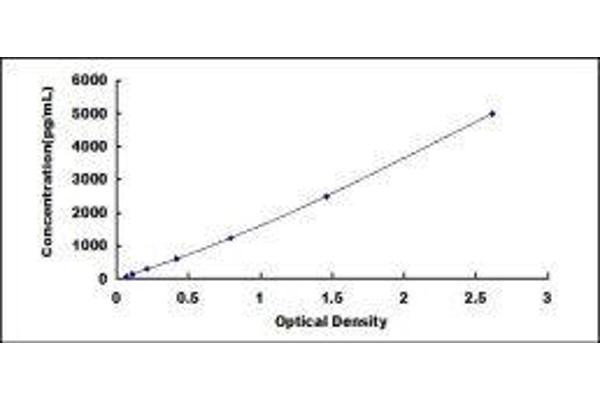 LIPC ELISA Kit