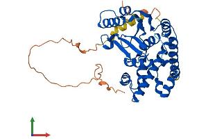 AlphaFold protein structure predicition of Mouse Recombinant Otulin Protein, UniprotID Q3UCV8 (FAM105B Protein (AA 1-352) (His tag))