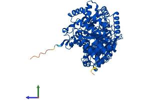 AlphaFold protein structure predicition of Mouse Recombinant Crot Protein, UniprotID Q9DC50 (CROT Protein (AA 1-612) (His tag))