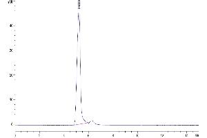 The purity of Human 4-1BB Ligand (Trimer) is greater than 95 % as determined by SEC-HPLC. (TNFSF9 Protein (Trimer) (Fc Tag))