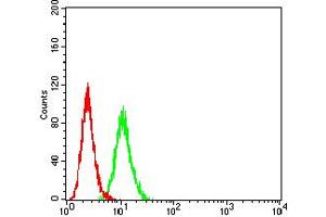 Flow cytometric analysis of HeLa cells using IGHM mouse mAb (green) and negative control (red). (IGHM antibody  (AA 310-452))