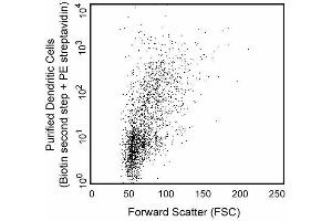 Immunofluorescent staining and flow cytometric analysis of enriched dendritic cells from rat spleen. (Dendritic Cells antibody)