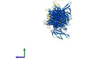 AlphaFold protein structure predicition of Human Recombinant JAK2 Protein, UniprotID O60674 (JAK2 Protein (AA 1-1132) (His tag))
