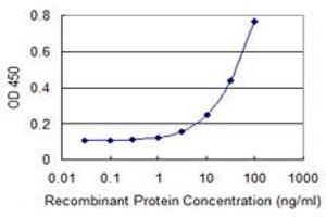 Detection limit for recombinant GST tagged SDC2 is 1 ng/ml as a capture antibody. (Syndecan 2 antibody  (AA 32-130))