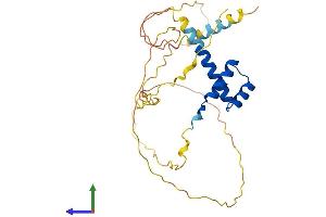 Protein Structure (PS) image for Paired-Like Homeobox 2a (PHOX2A) (AA 1-280) protein (His tag) (ABIN7557756)