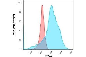 Flow Cytometric Analysis of K562 cells using LMO2 Recombinant Rabbit Monoclonal Antibody (LMO2/3147R) followed by goat anti-rabbit IgG-CF488 (Blue); Isotype Control (Red). (Recombinant LMO2 antibody  (AA 23-140))