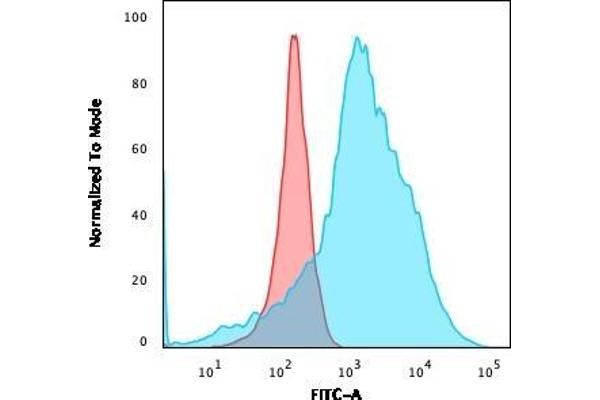 Recombinant LMO2 antibody  (AA 23-140)