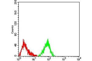 Flow cytometric analysis of HL-60 cells using CD163 mouse mAb (green) and negative control (red). (CD163 antibody  (AA 42-259))