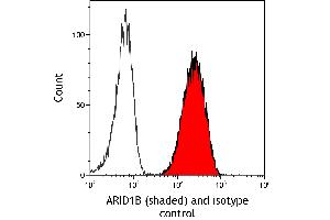 Flow Cytometry (FACS) image for anti-AT Rich Interactive Domain 1B (SWI1-Like) (ARID1B) (AA 1425-1475) antibody (ABIN7795694)