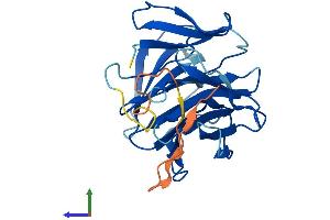 AlphaFold protein structure predicition of Human Recombinant LRP5L Protein, UniprotID A4QPB2 (LRP5L Protein (AA 1-252) (His tag))