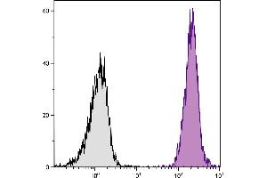 BALB/c mouse splenocytes were stained with Mouse Anti-Mouse H-2Kd/H-2Dd-PE. (H-2Kd/H-2Dd antibody (FITC))