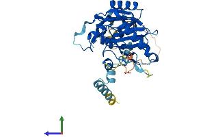 AlphaFold protein structure predicition of Mouse Recombinant Cdc123 Protein, UniprotID Q8CII2 (CDC123 Protein (AA 1-336) (His tag))