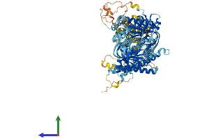 AlphaFold protein structure predicition of Human Recombinant ADCY4 Protein, UniprotID Q8NFM4