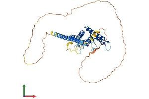 AlphaFold protein structure predicition of Mouse Recombinant Spatc1l Protein, UniprotID Q9D9W0 (C21ORF56 Protein (AA 1-342) (His tag))