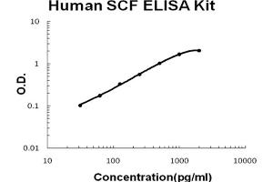 Human SCF Accusignal ELISA Kit Human SCF AccuSignal ELISA Kit standard curve. (KIT Ligand ELISA Kit)
