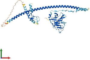Protein Structure (PS) image for Tripartite Motif Family-Like 1 (TRIML1) (AA 1-468) protein (His tag) (ABIN7544593)