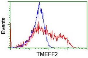 Image no. 2 for anti-Transmembrane Protein with EGF-Like and Two Follistatin-Like Domains 2 (TMEFF2) antibody (ABIN1501418) (TMEFF2 antibody)