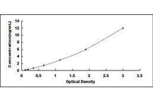 Typical standard curve (Angiopoietin 2 ELISA Kit)