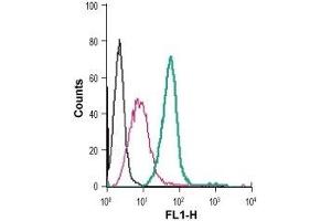 Cell surface detection of CysLTR1 in live intact mouse J774 macrophage cells: (black line) Cells. (CysLTR1 antibody  (Extracellular) (FITC))