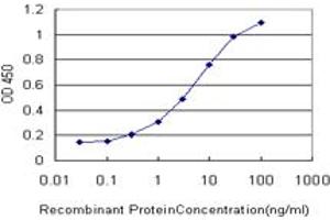Detection limit for recombinant GST tagged GRK6 is approximately 0. (GRK6 antibody  (AA 71-170))