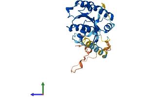 Protein Structure (PS) image for RAS-Like, Family 11, Member B (RASL11B) (AA 1-248) protein (His tag) (ABIN7551585)
