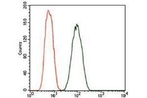 Flow cytometric analysis of A549 cells using DCTN4 mouse mAb (green) and negative control (red). (Dynactin 4 antibody  (AA 57-298))