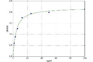 A typical standard curve