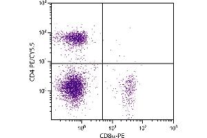 BALB/c mouse splenocytes were stained with Rat Anti-Mouse CD4-PE/CY5. (CD4 antibody  (PE-Cy5.5))