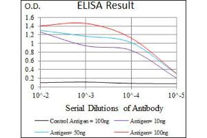 ELISA image for anti-Integrin Alpha2b (CD41) (AA 45-149) antibody (ABIN1844101) (Integrin Alpha2b antibody  (AA 45-149))