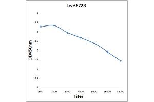 Antigen: 0. (KCNJ3 antibody  (AA 81-180))