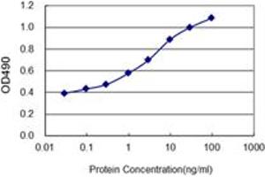 Detection limit for recombinant GST tagged CUEDC2 is 0. (CUEDC2 antibody  (AA 1-226))