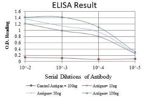 Red: Control Antigen (100 ng), Purple: Antigen (10 ng), Green: Antigen (50 ng), Blue: Antigen (100 ng), (C-JUN antibody)