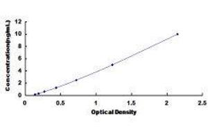 ELISA image for Protein Phosphatase 2A Activator, Regulatory Subunit 4 (PPP2R4) ELISA Kit (ABIN434122)