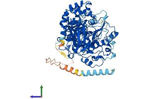 AlphaFold protein structure predicition of Human Recombinant GALNTL6 Protein, UniprotID Q49A17